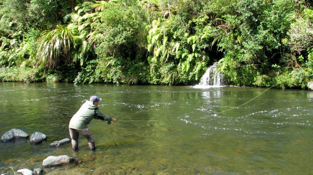 Summer Fly Fishing in NZ - Trout Fishing Guide - Fishing Guides New Zealand