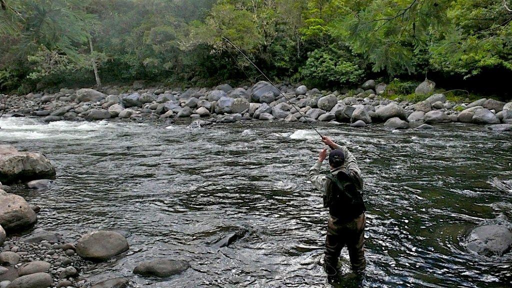 Summer Fishing NZ - Fly Fishing Guide